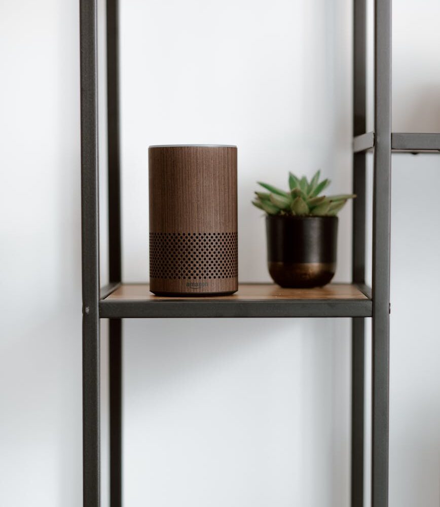 W-LAN Lautsprecher – aber richtig! a brown speaker on the shelf